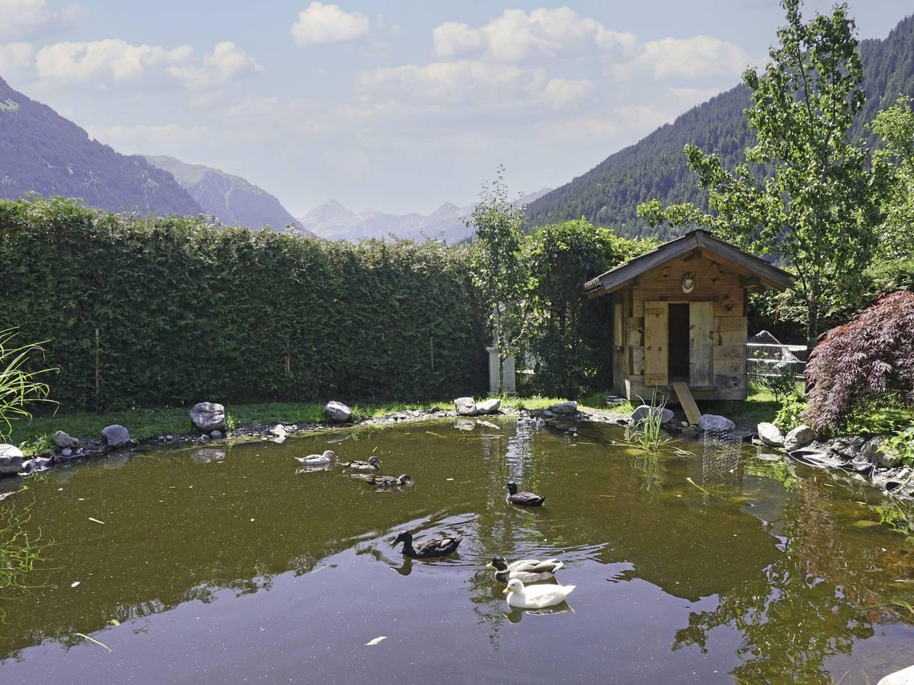Helmreich met 3 slaapkamers en terras in Sankt Gallenkirch (stad), Sankt Gallenkirch, Oostenrijk voor 6 personen foto 22