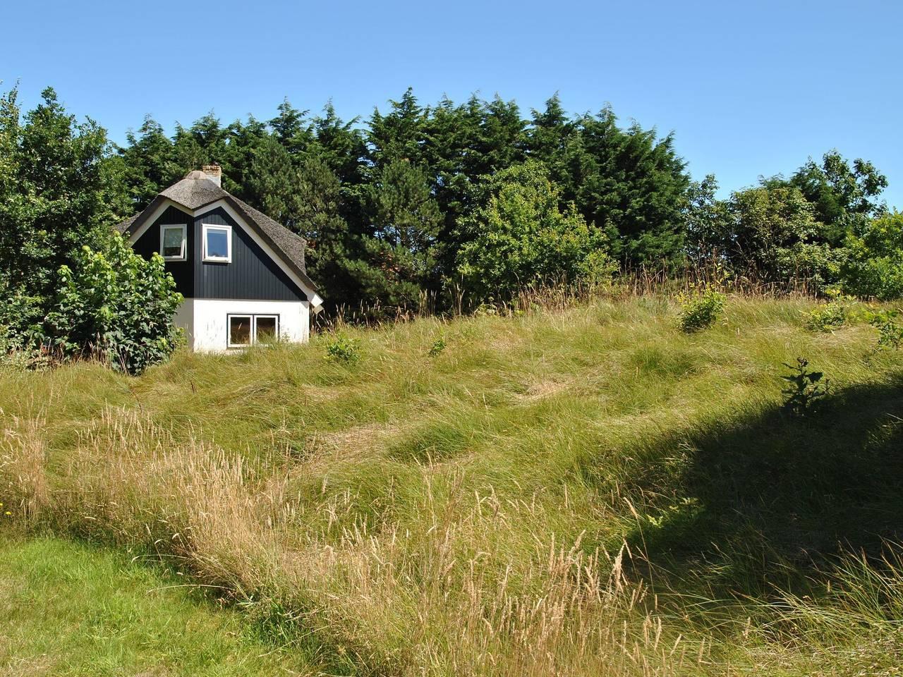 Vakantiehuis in Texel, Nederland voor 8 personen foto 11