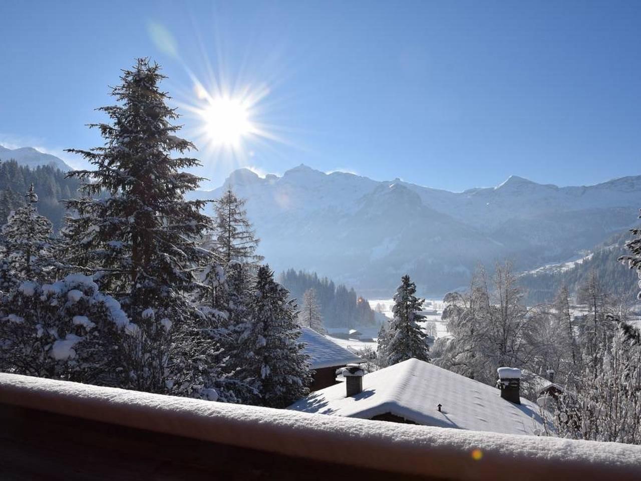 Vakantieappartement in Lenk, Zwitserland voor 8 personen foto 7