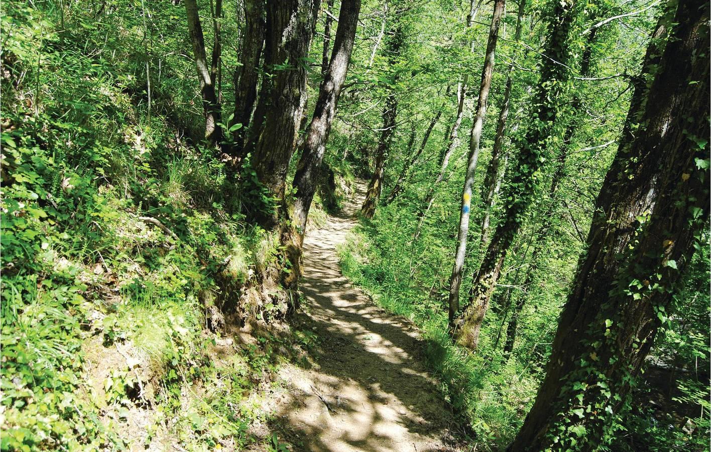 Tuin appartement 2km van Castel Focognano in Talla, Casentino, Italië voor 2 personen foto 20