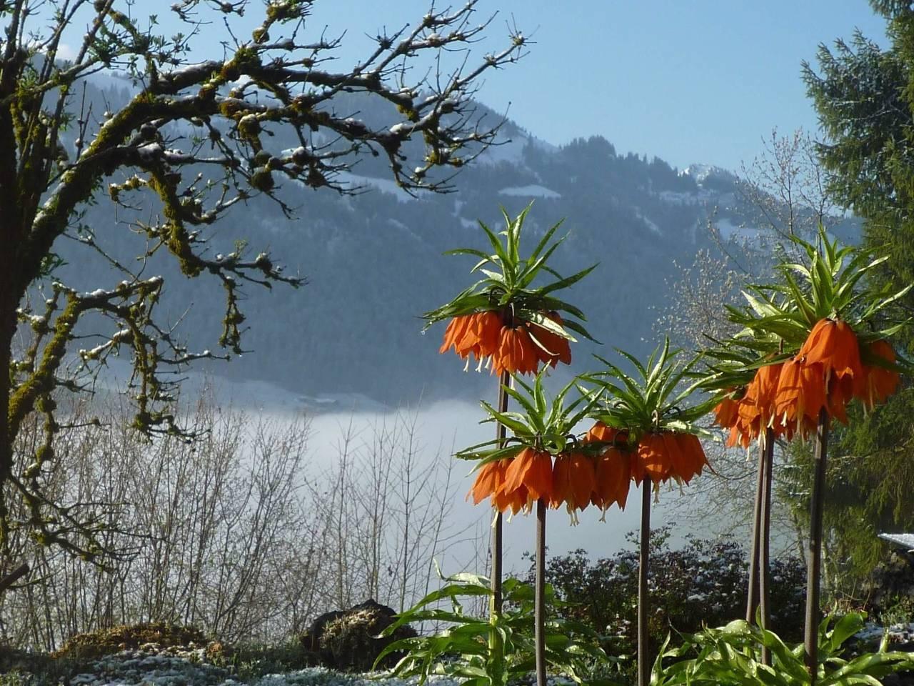 Vakantieappartement in Berner Oberland, Zwitserland voor 5 personen foto 9