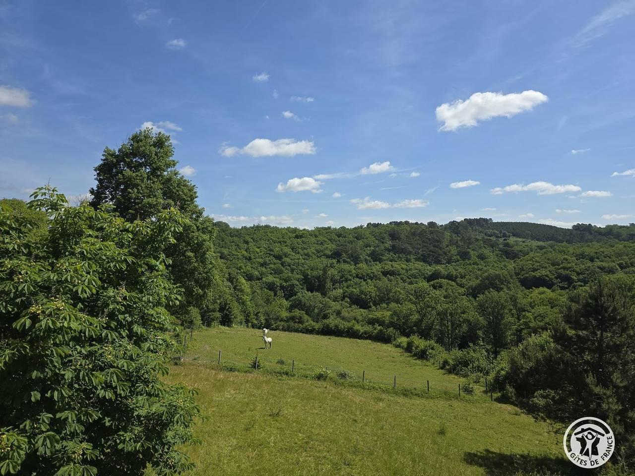 Vakantiehuis in Dordogne, Frankrijk voor 5 personen foto 3