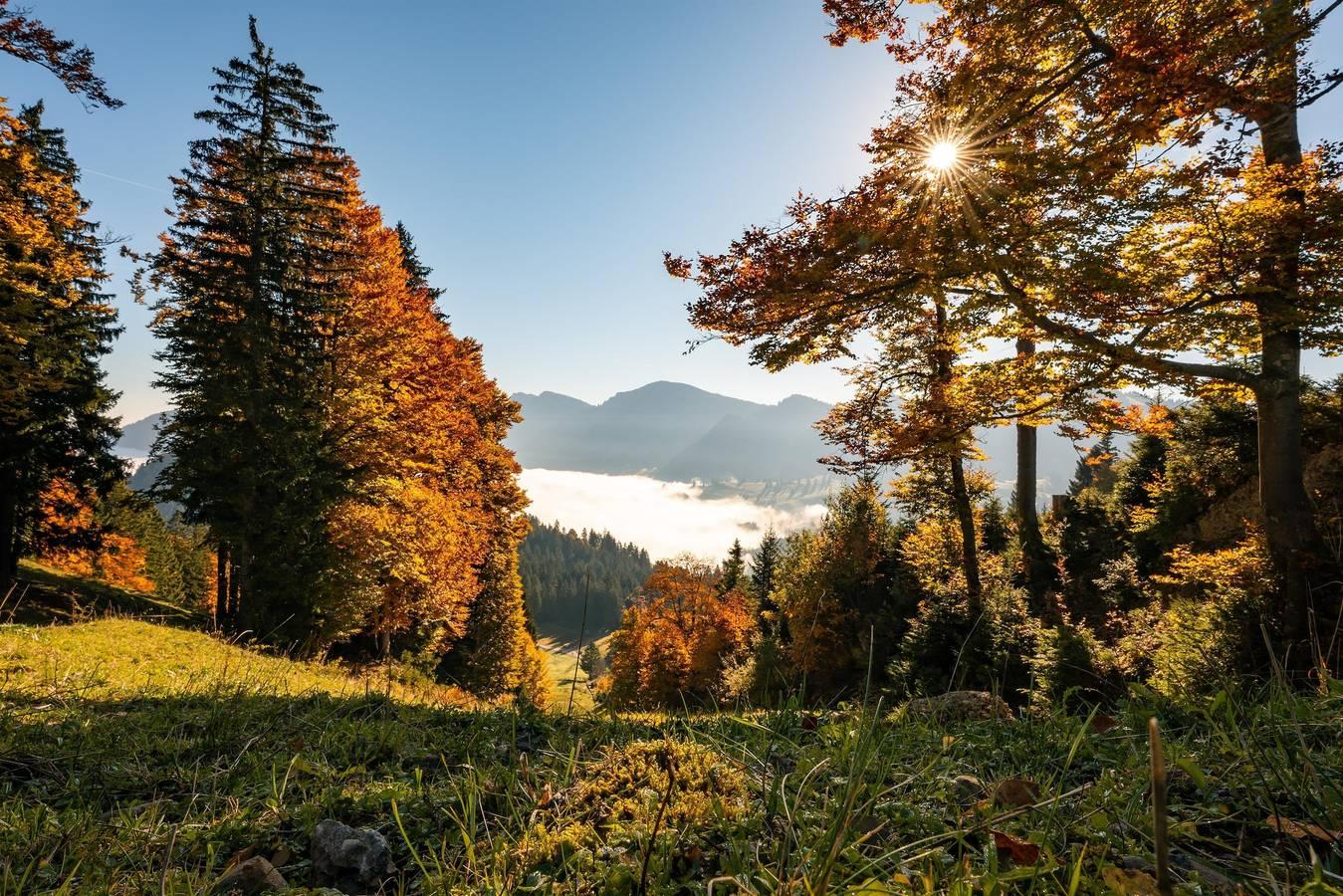 Rothenfels in Oberstaufen, Zwaben (Bayern), Duitsland voor 4 personen foto 23