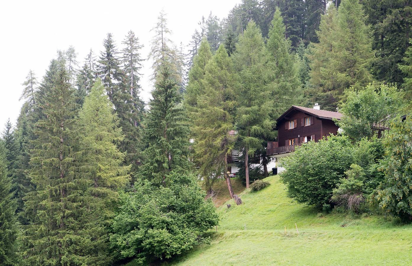 Vakantiehuis in Plessur, Zwitserland voor 8 personen foto 8