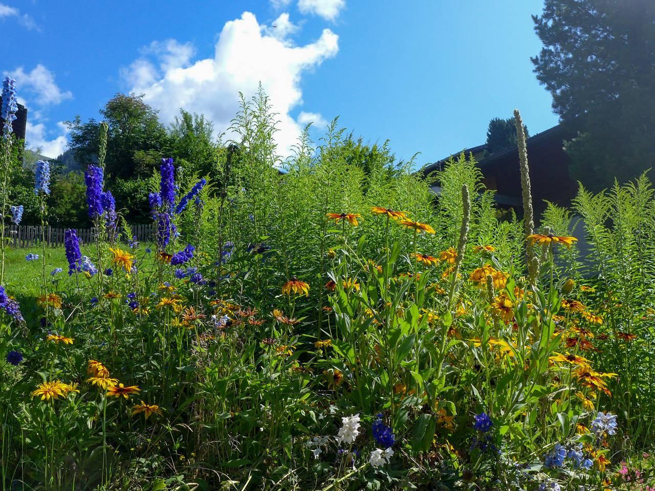 Strassscheuer in Schwendi b. Grindelwald, Grindelwald, Zwitserland voor 2 personen foto 15