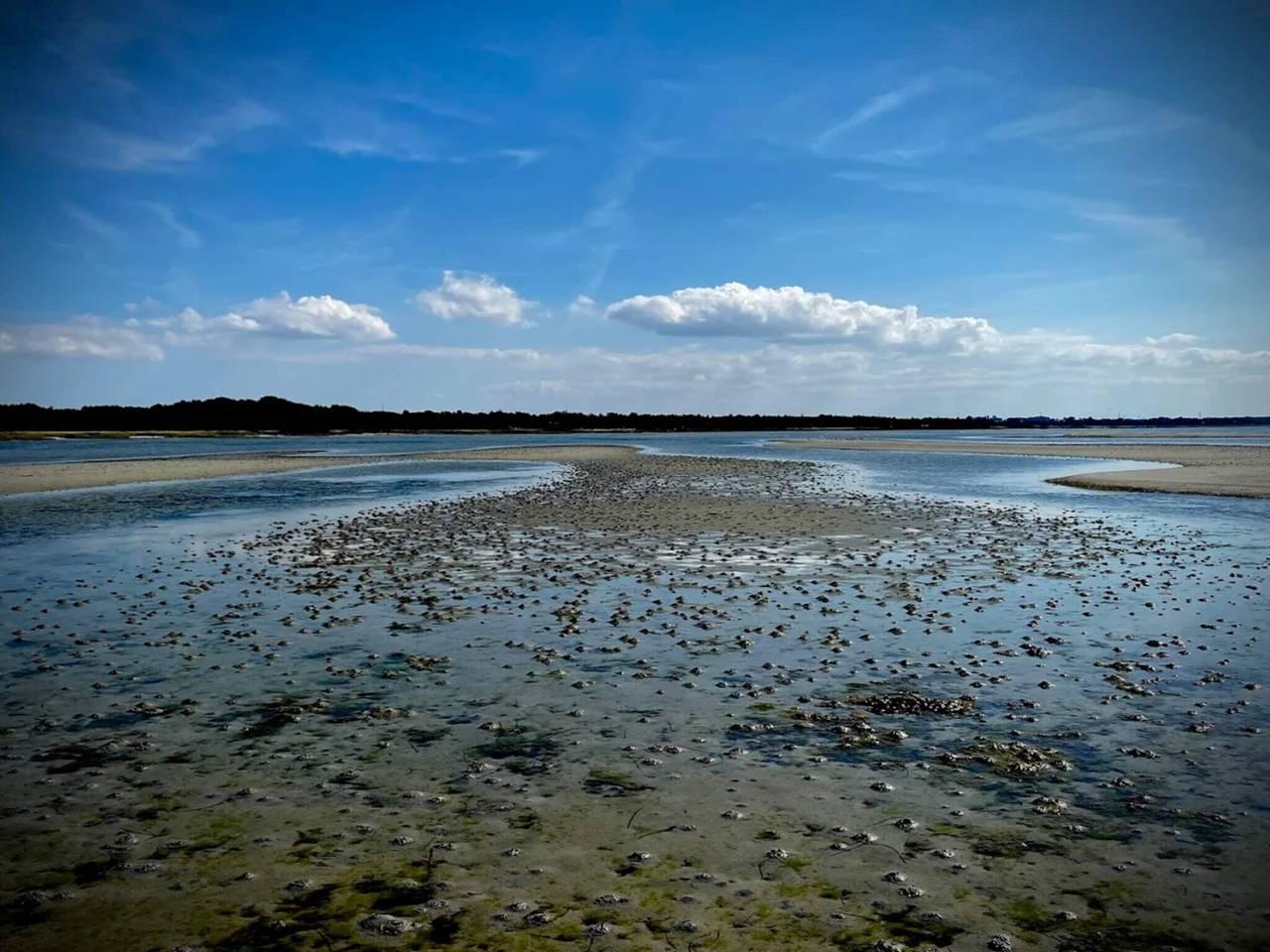Luxe retraite met zwembad in Over Dråby Strand, Denemarken voor 16 personen foto 22