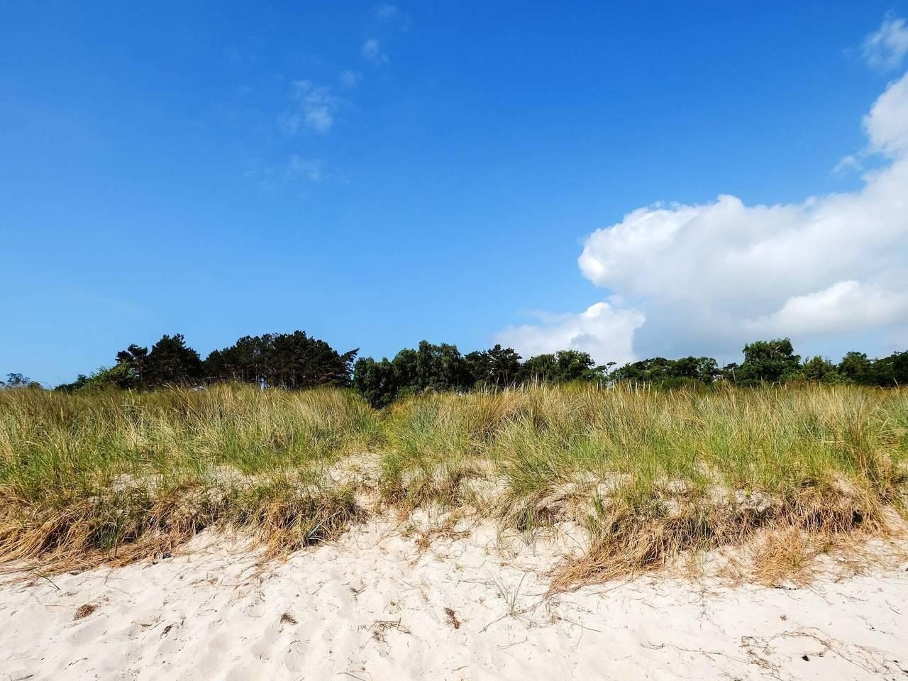 Vakantiehuis in Falster, Denemarken voor 10 personen foto 4
