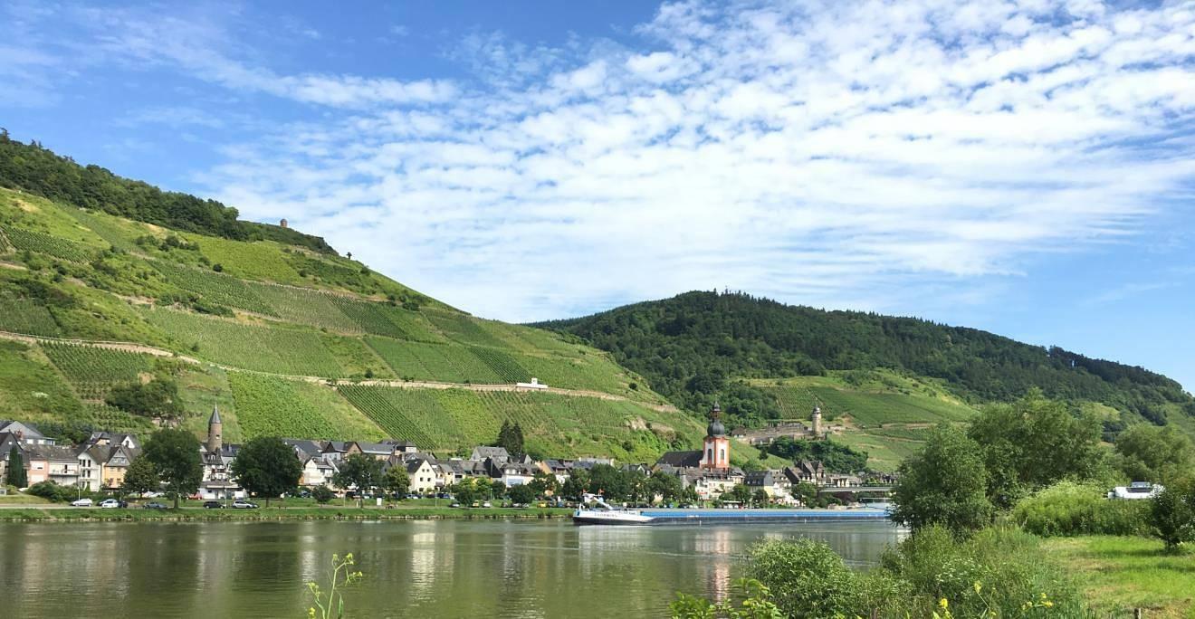 Vakantiehuis in Moezel, Duitsland voor 7 personen foto 4