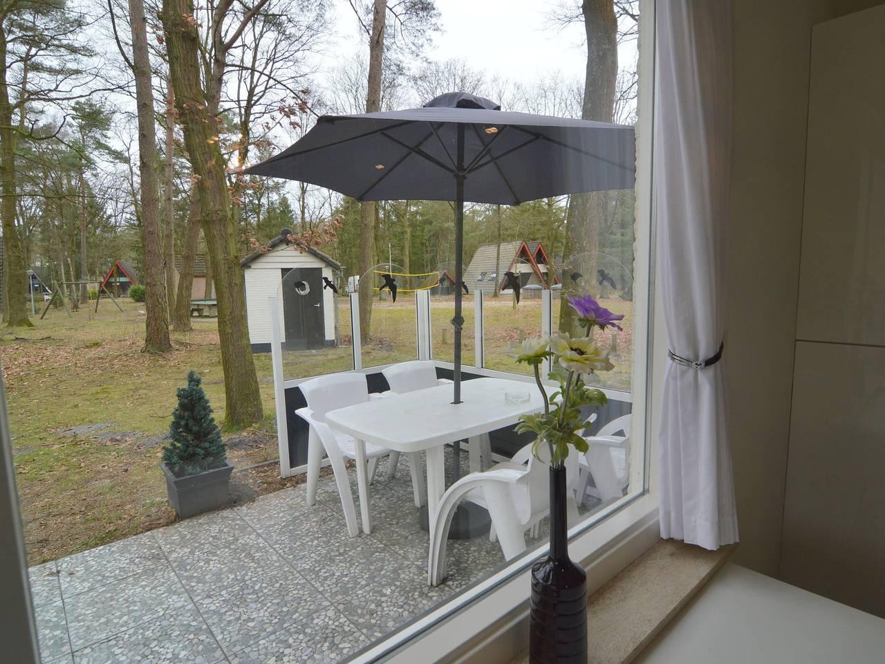 Vakantiehuis met hond toegestaan in Stramproy, Limburg, Nederland voor 3 personen foto 23