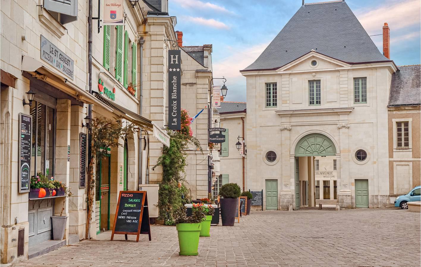 Vakantiehuis in Loiredal, Frankrijk voor 3 personen foto 12