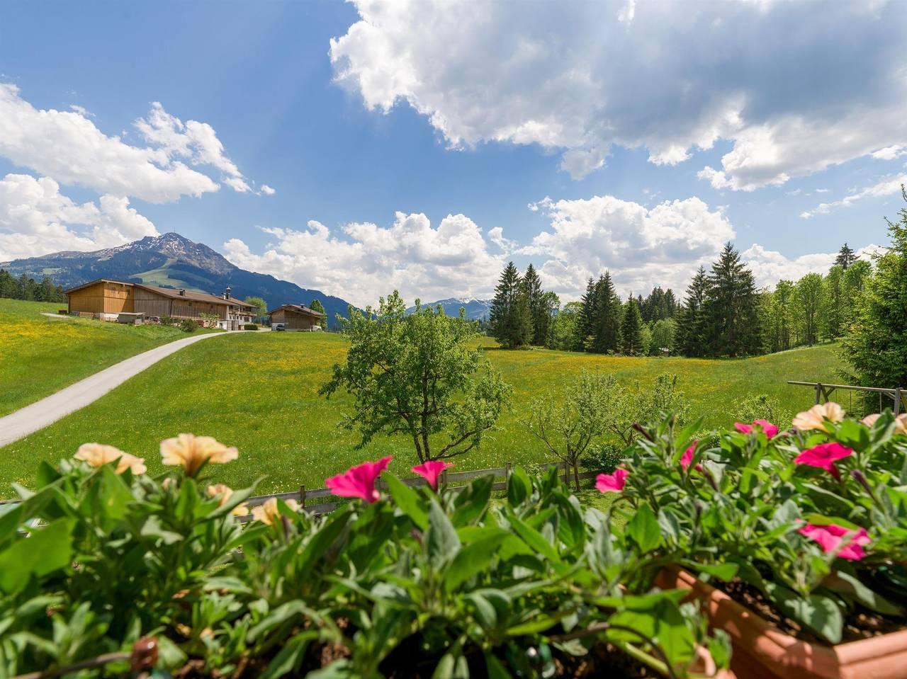 Vakantieappartement in Kaisergebirge, Oostenrijk voor 3 personen foto 9