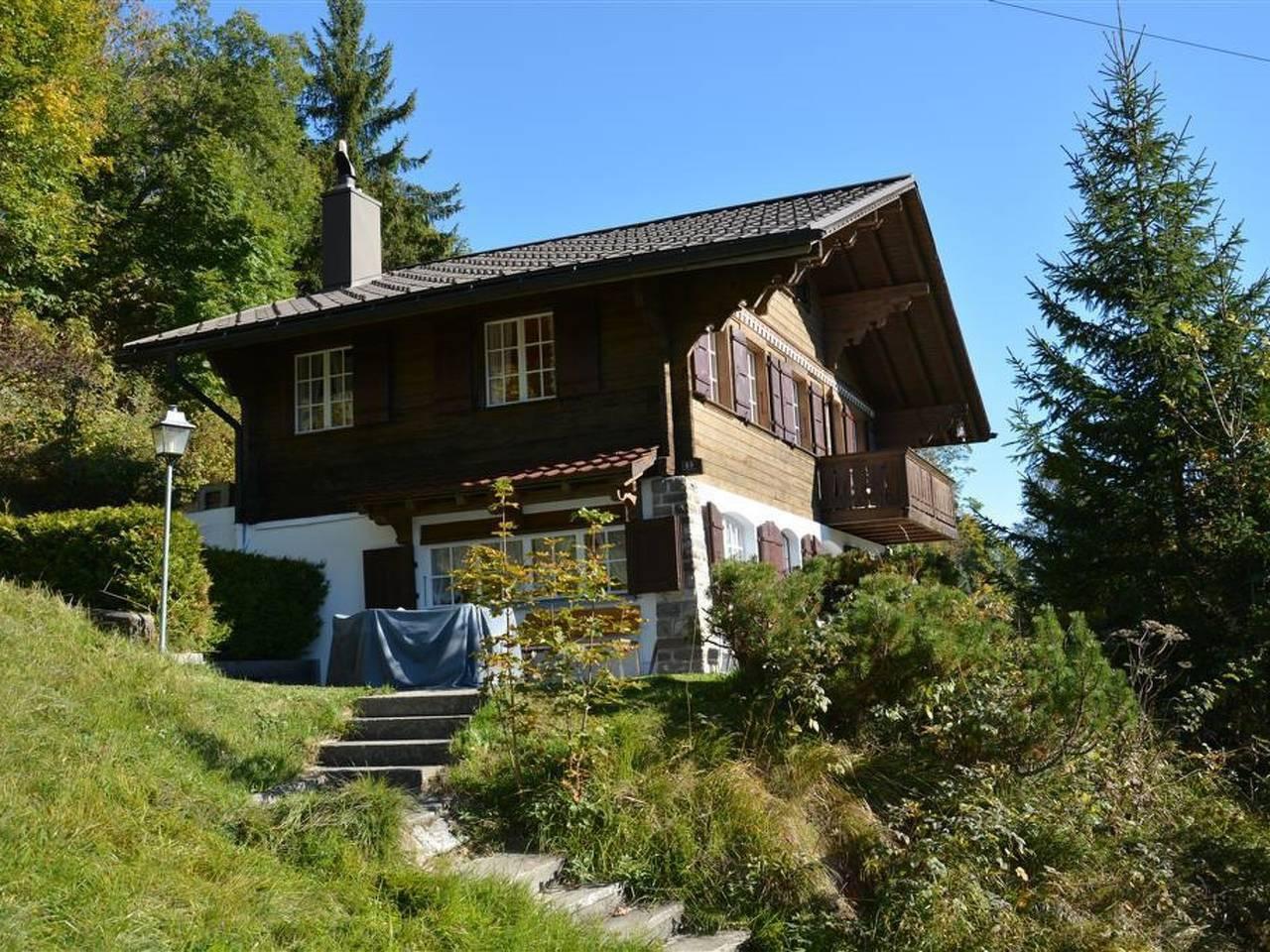 Vakantieappartement in Saanen, Zwitserland voor 9 personen foto 2