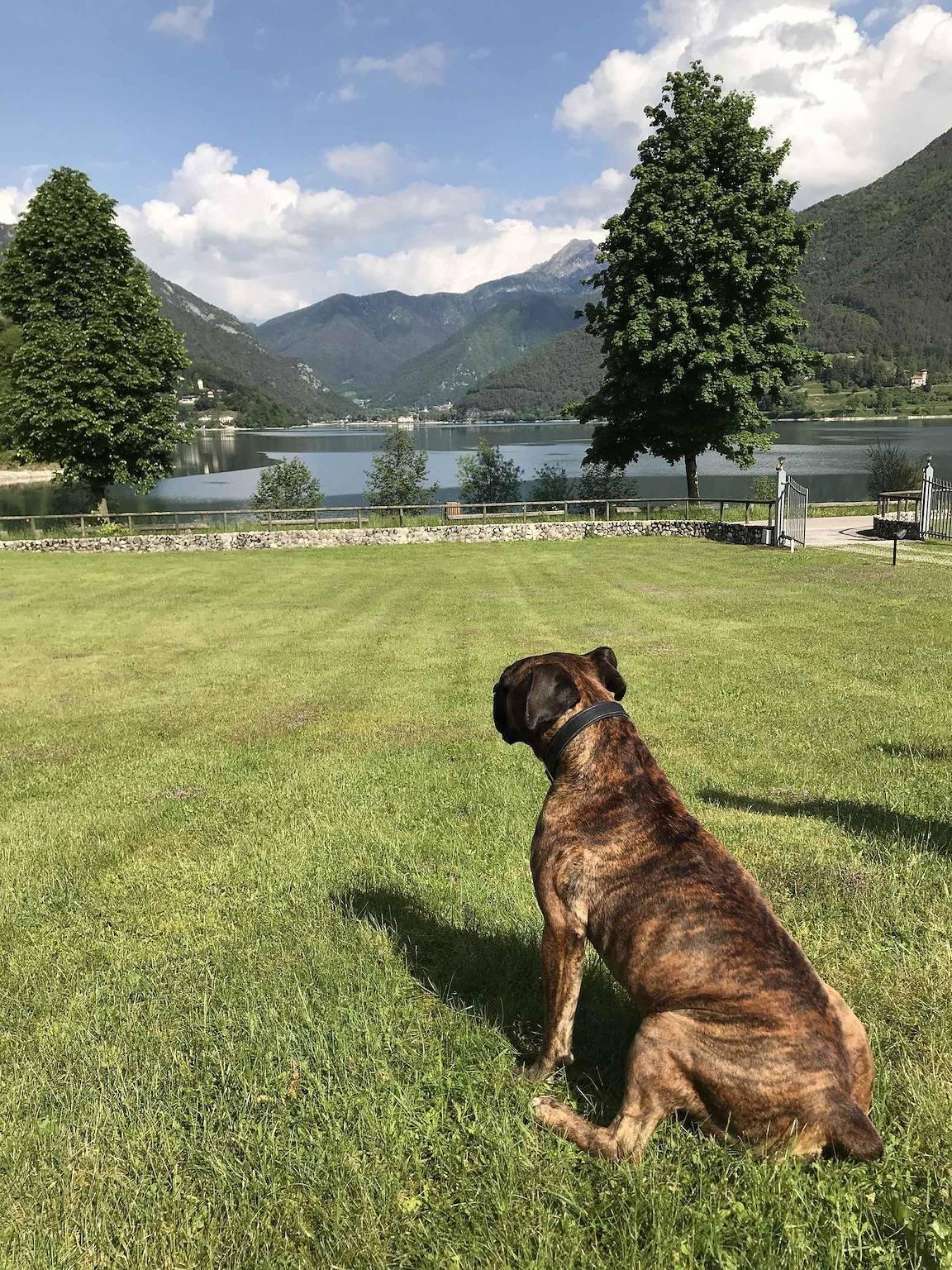 Vakantiewoning met uitzicht op Ledrosse in Molina di Ledro, Ledro, Italië voor 6 personen foto 19