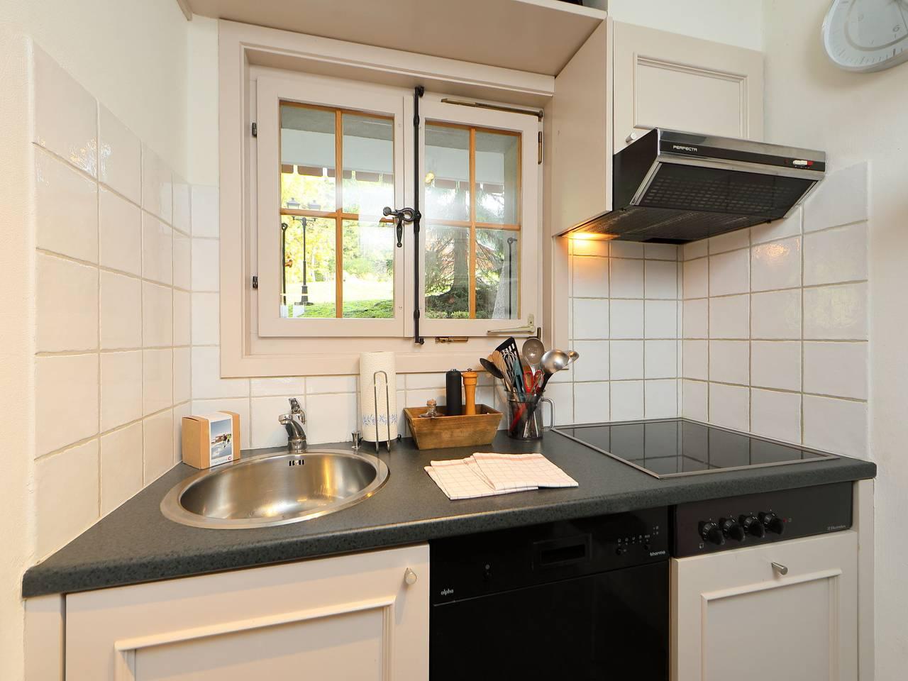 Vakantieappartement in Alpes Vaudoises, Zwitserland voor 4 personen foto 11