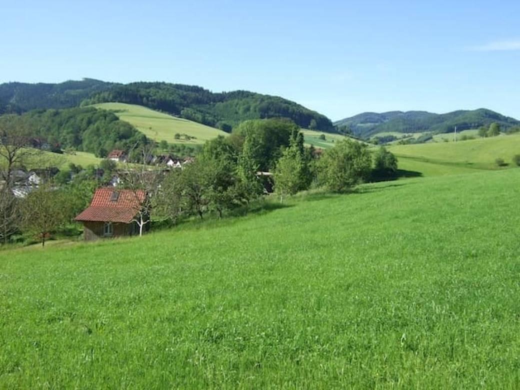 Vakantiehuis in Steinach, Duitsland voor 3 personen foto 15