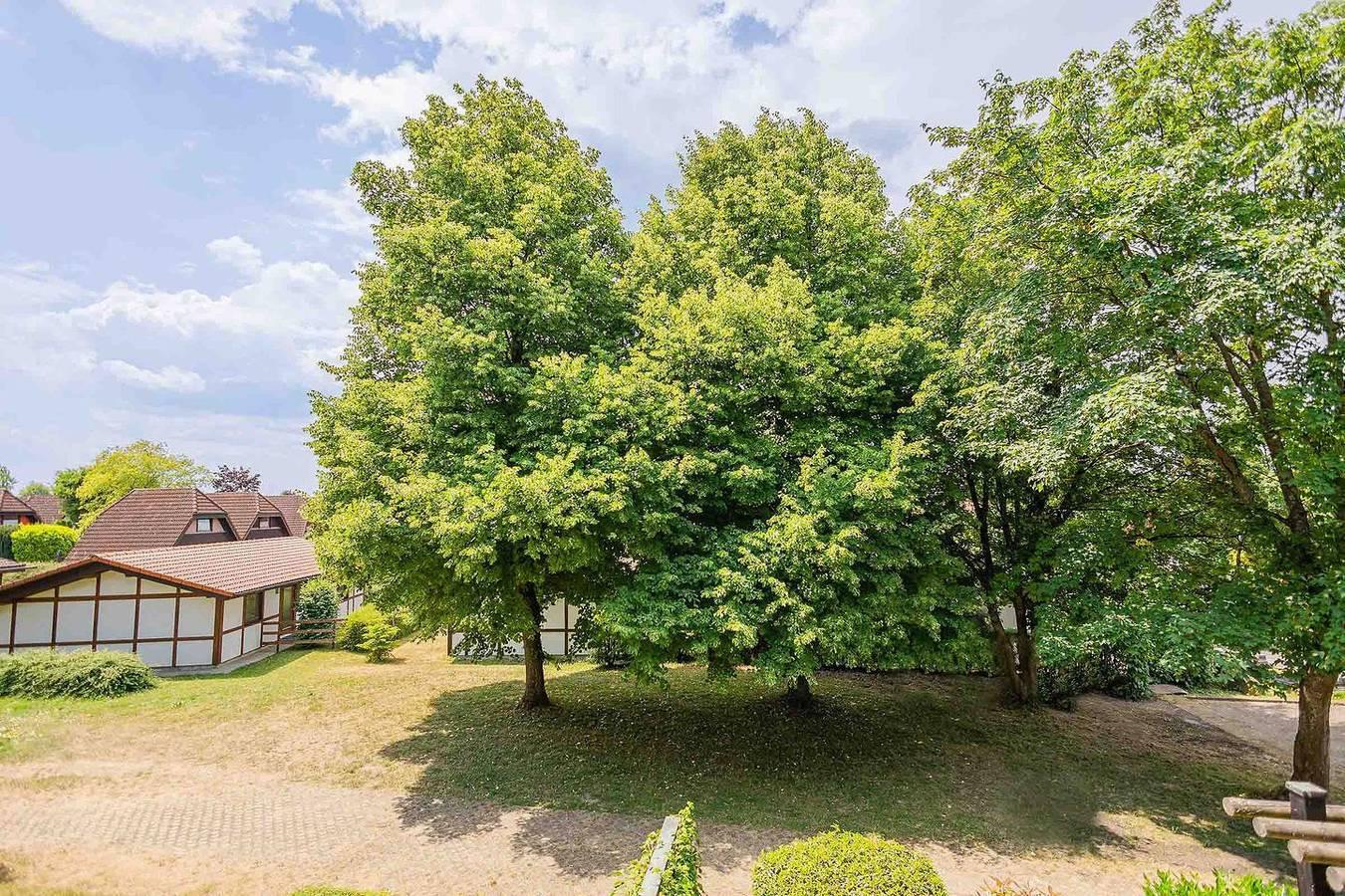 Vakantieappartement in Bodensee, Duitsland voor 4 personen foto 11