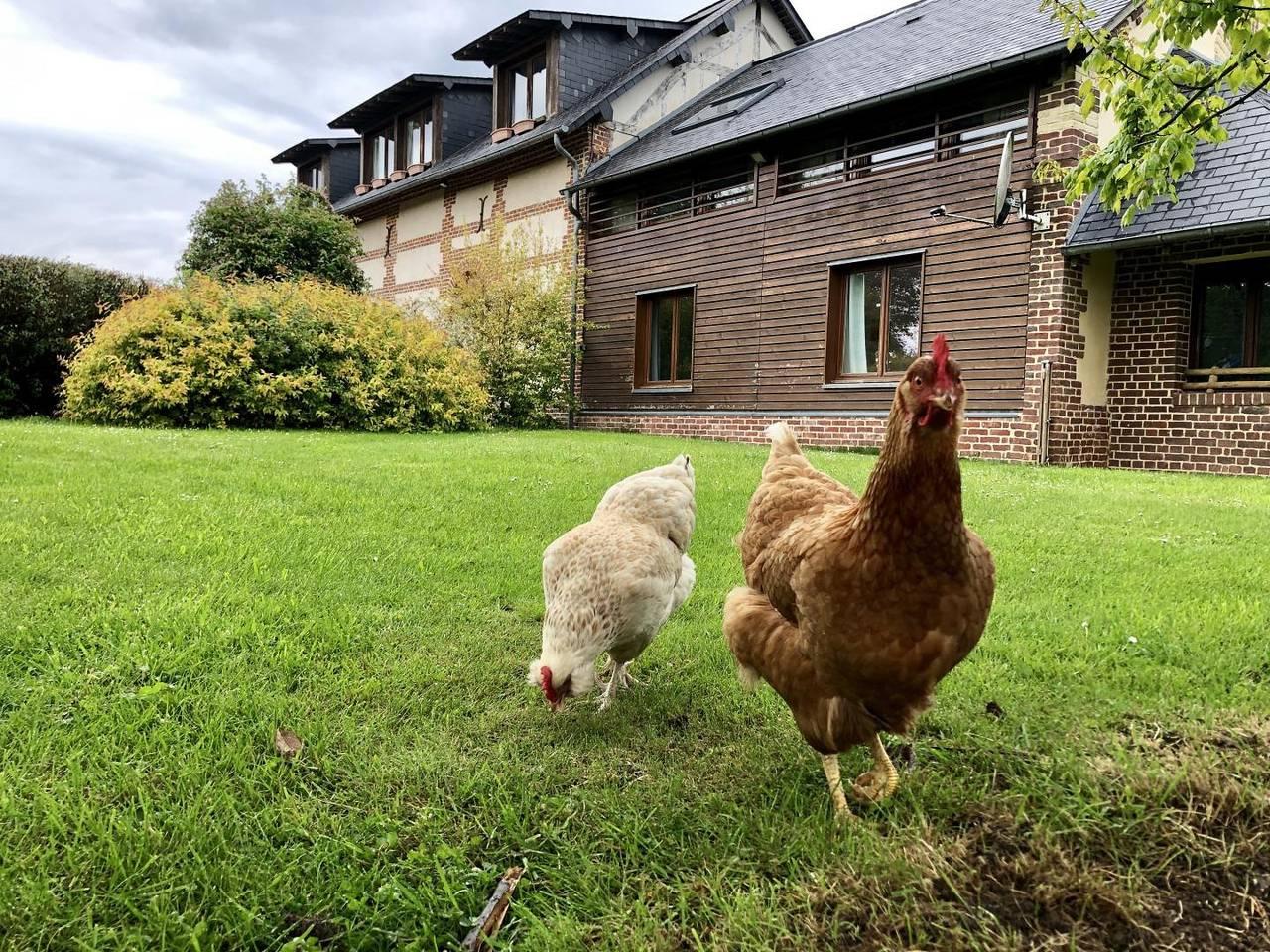 Vakantiehuis in Quincampoix, Frankrijk voor 6 personen foto 17