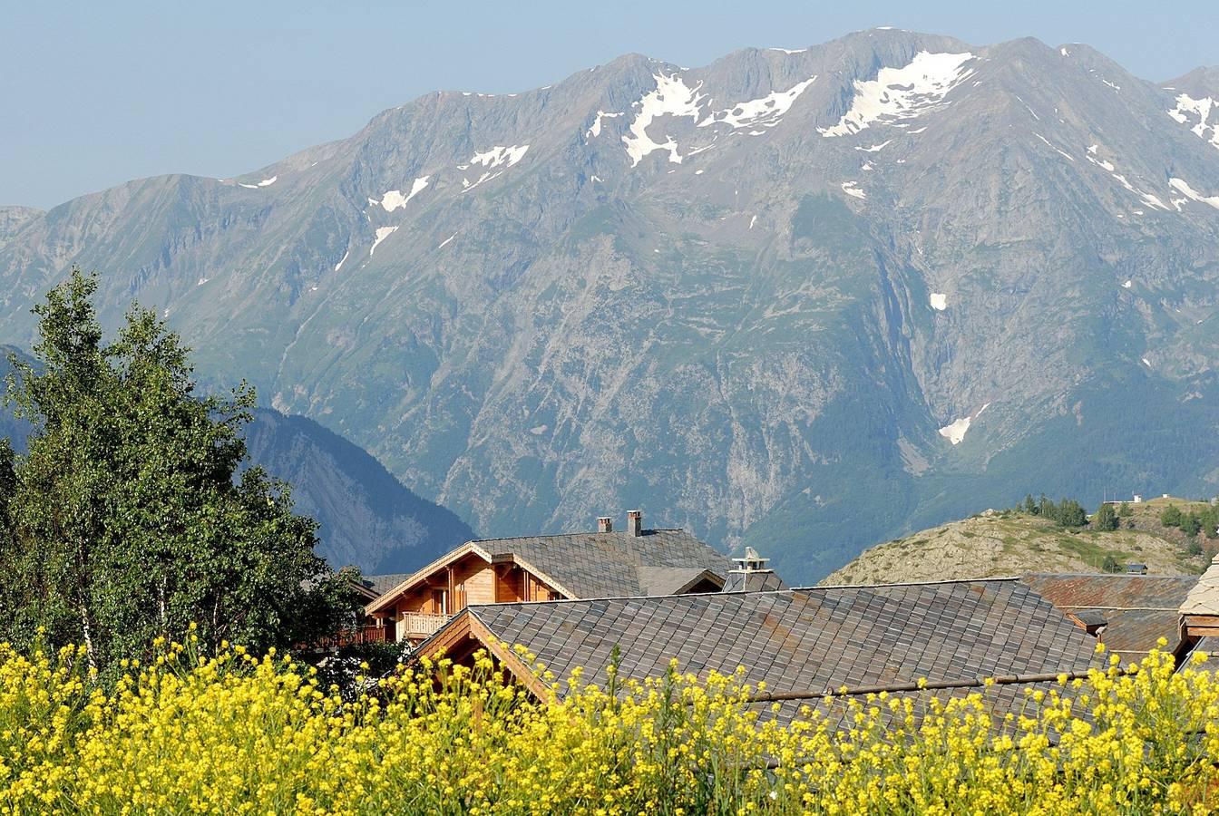 Vakantiehuis in Huez, Frankrijk voor 15 personen foto 17