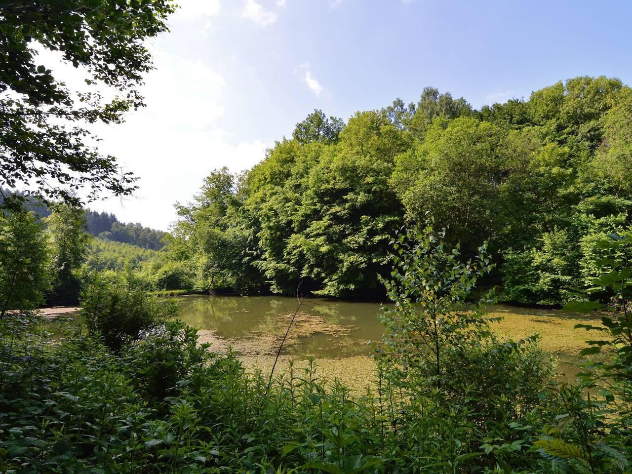 Boshuisje met vijvers in Bouillon, België voor 5 personen foto 22