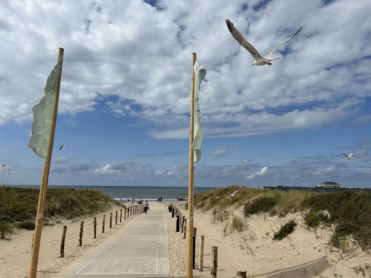 Vakantiehuis in Noordwijk, Nederland voor 6 personen foto 2