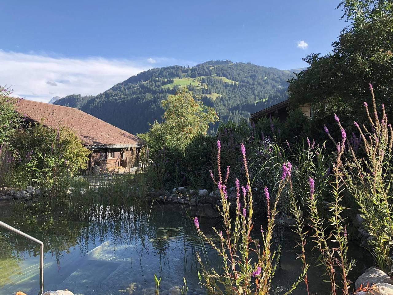 Vakantieappartement in St. Stefan, Zwitserland voor 4 personen foto 9