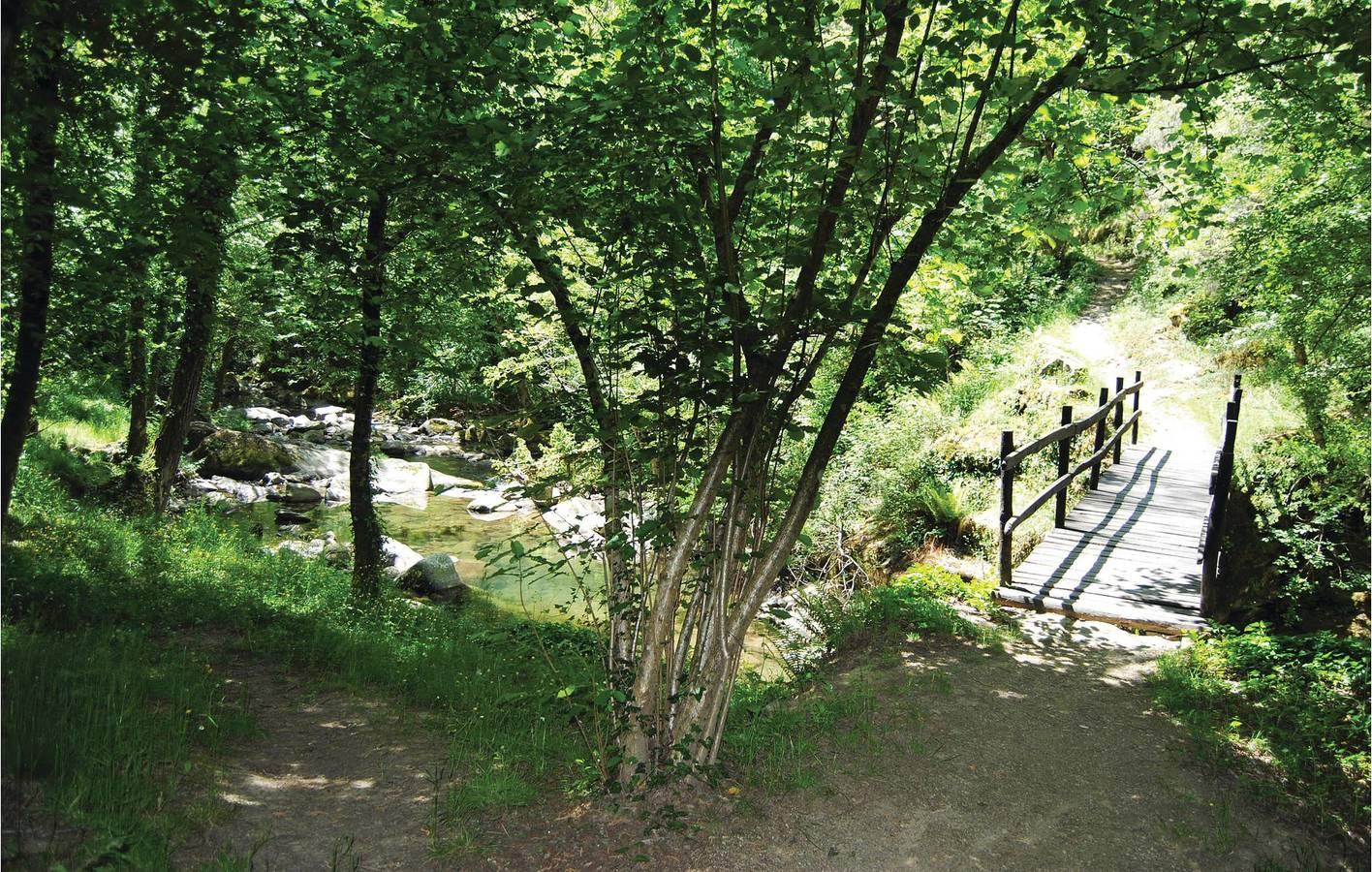 Tuin appartement 2km van Castel Focognano in Talla, Casentino, Italië voor 2 personen foto 19