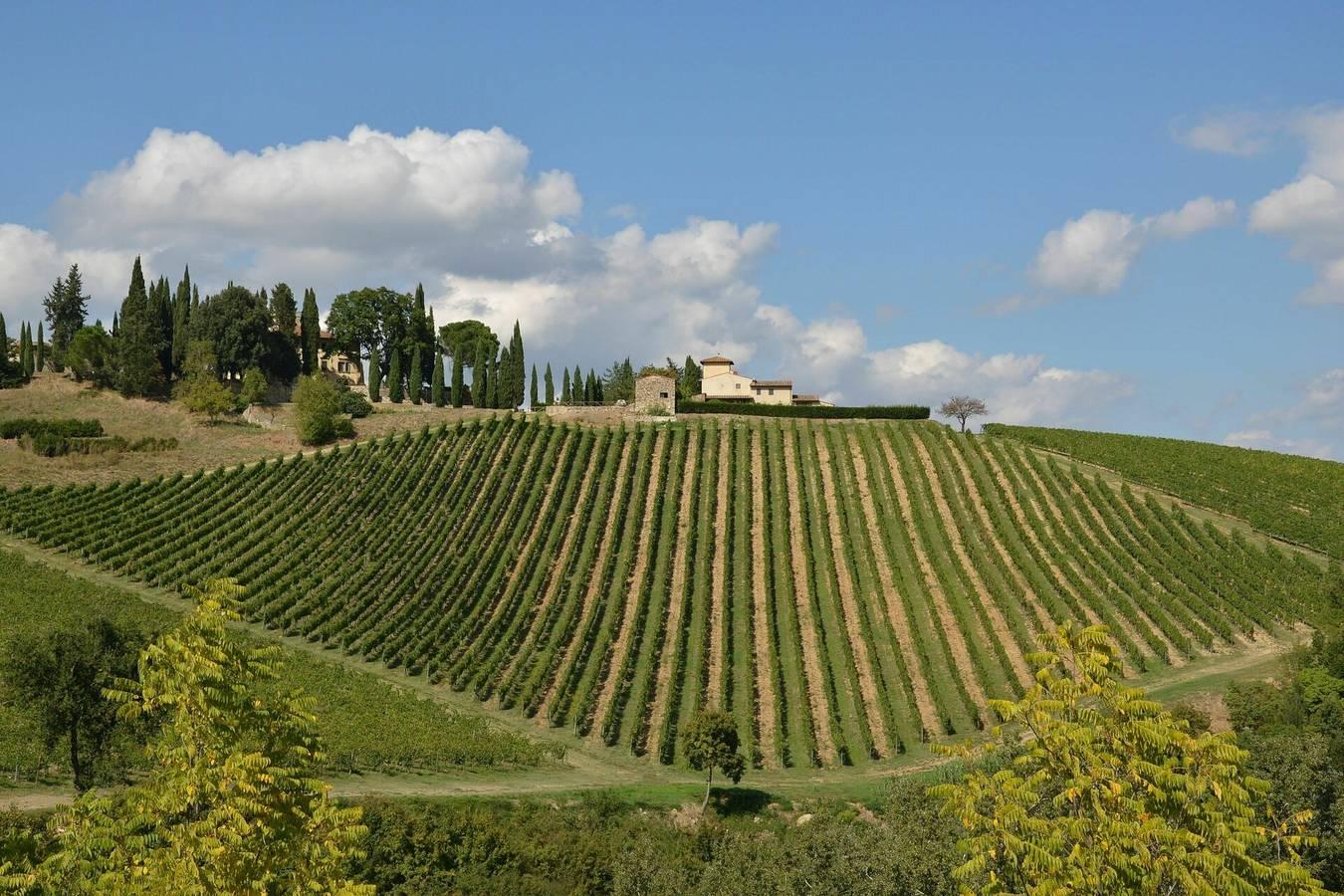 Vakantieappartement in Chianti, Italië voor 4 personen foto 8