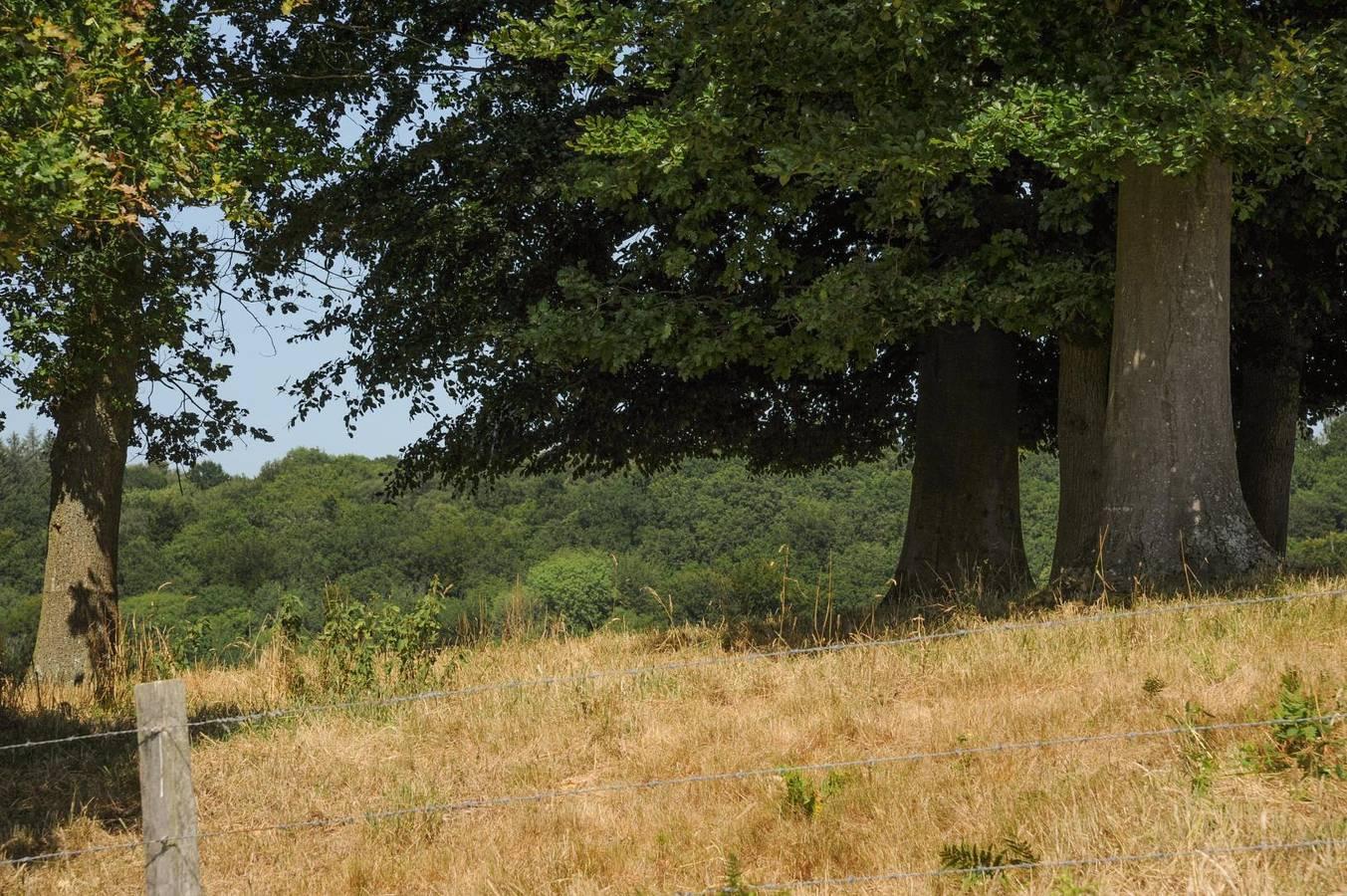 Gîtes de France® - La Métairie in Le Hanouard, Frankrijk voor 6 personen foto 22