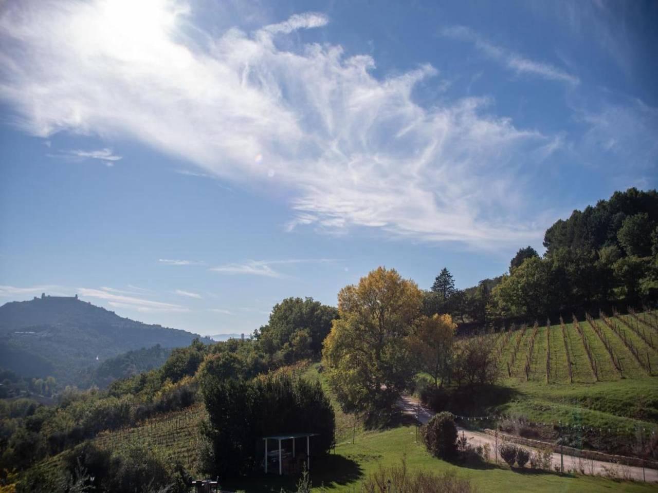Appartement in Verbania bij meer en eilanden in Verbania, Comune di Verbania, Italië voor 4 personen foto 24