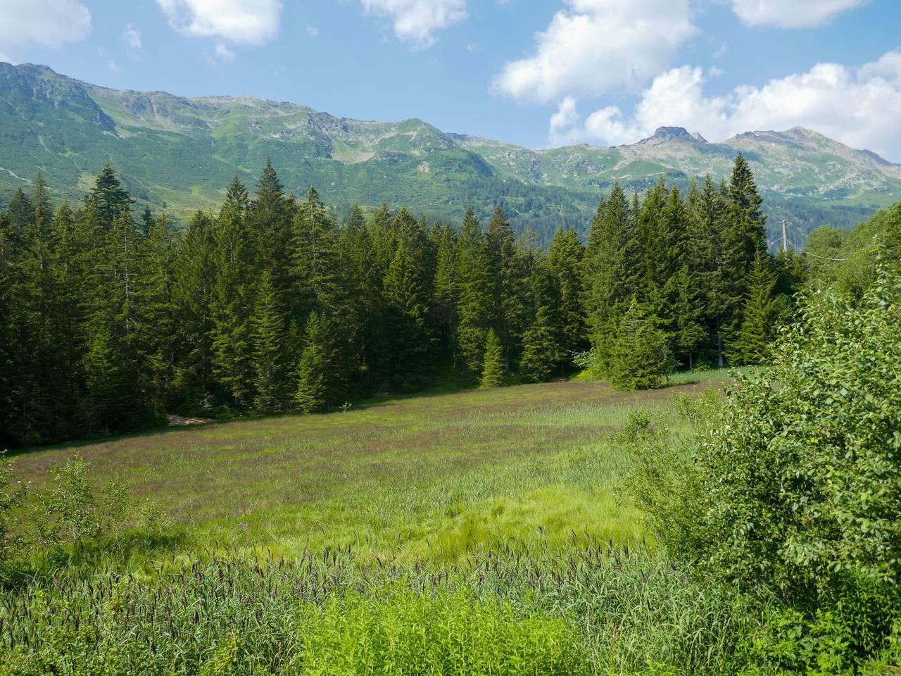 Marianne Plus in Blenio, Lepontine Alps, Zwitserland voor 5 personen foto 20