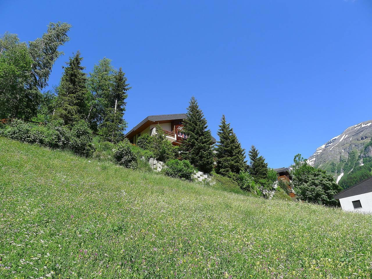 Vakantieappartement met hond toegestaan in Leukerbad, Wallis, Zwitserland voor 2 personen foto 11