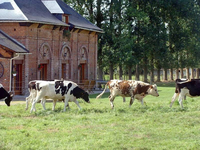 Vakantiehuis in Seine-Maritime, Frankrijk voor 8 personen foto 3