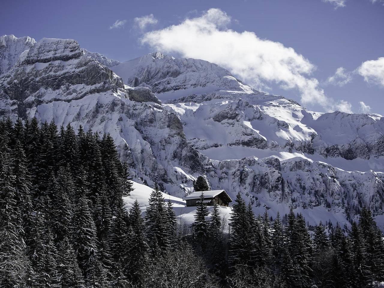Vakantieappartement in Lenk, Zwitserland voor 3 personen foto 9