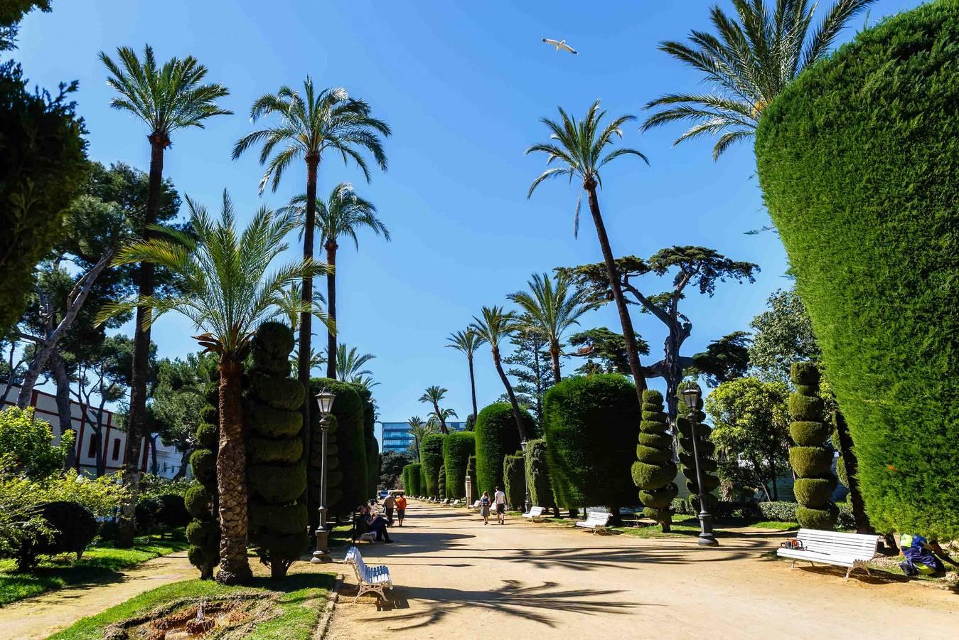 Vakantieappartement in Cádiz, Spanje voor 5 personen foto 18