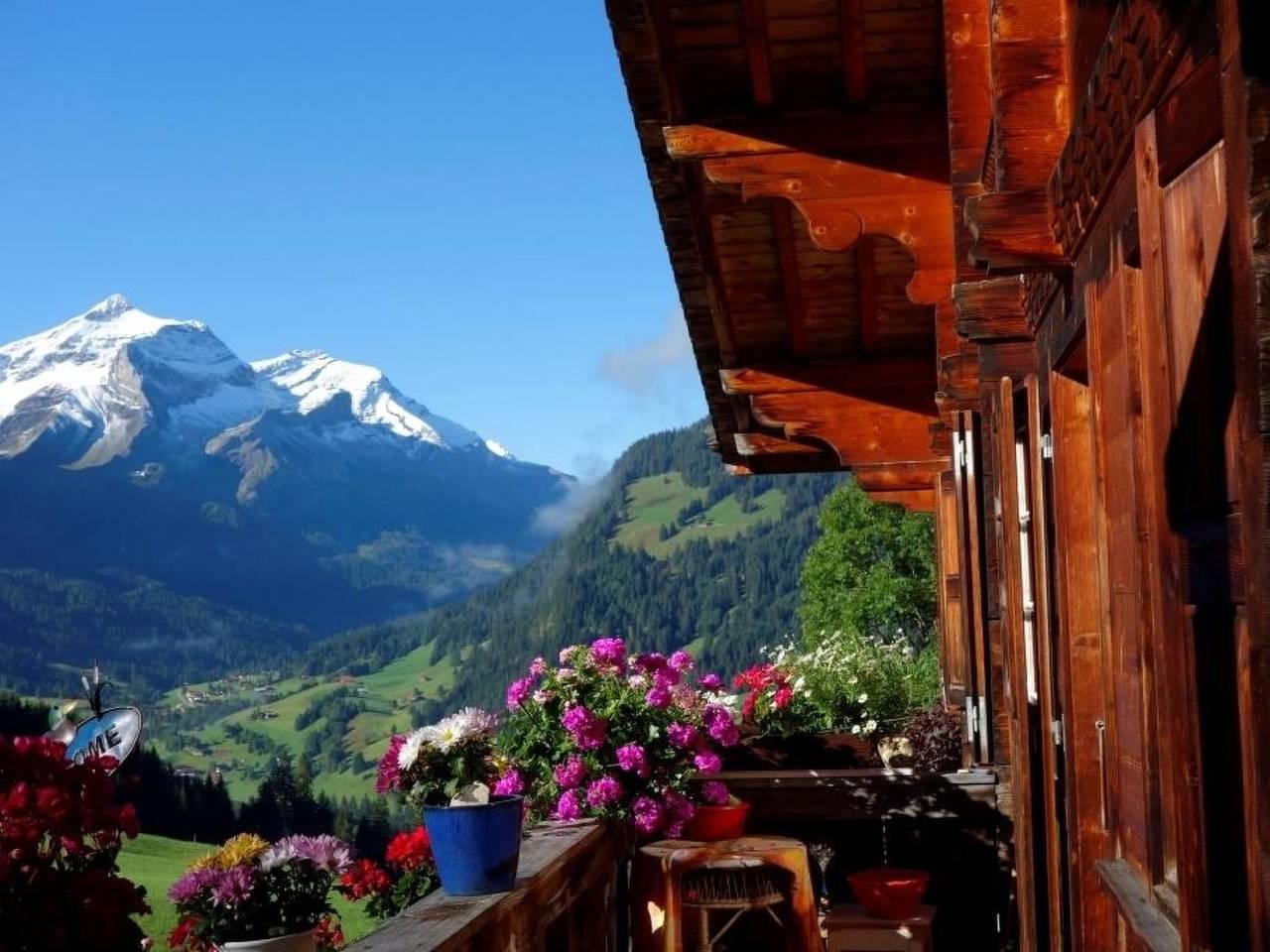 Vakantieappartement in Gsteig, Zwitserland voor 4 personen foto 6