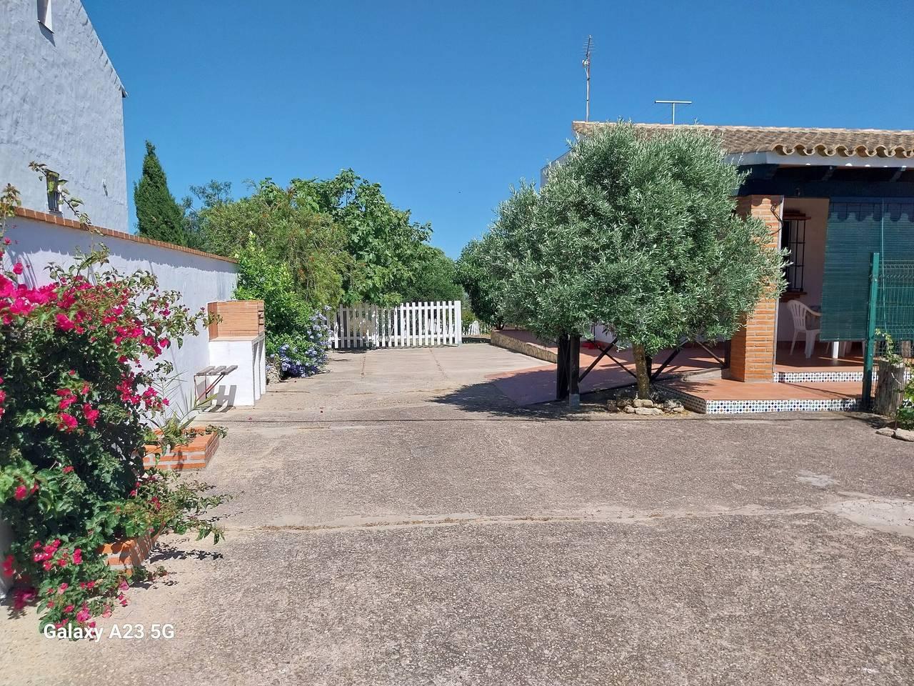 Vakantiehuis in La Janda, Spanje voor 5 personen foto 16