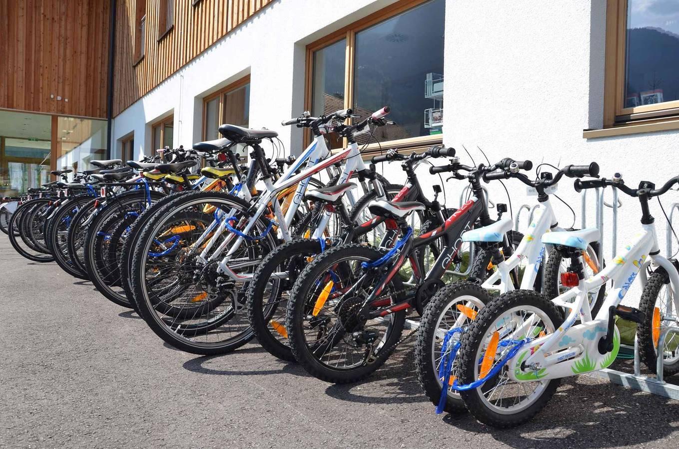 Vakantiehuis met binnenzwembad, wellness in Obertraun, Dachstein Salzkammergut, Oostenrijk voor 4 personen foto 24
