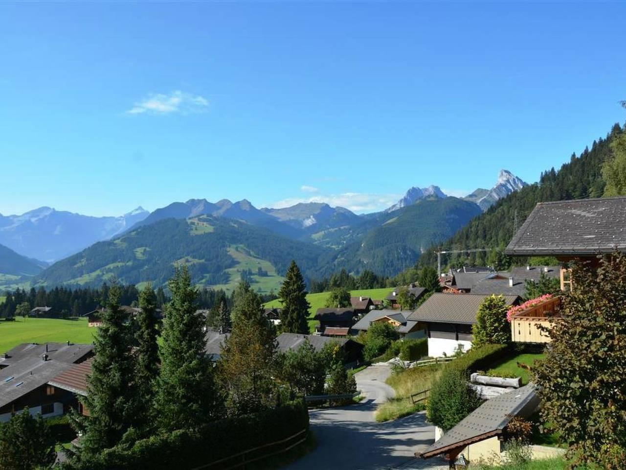 Vakantieappartement in Saanen, Zwitserland voor 4 personen foto 6