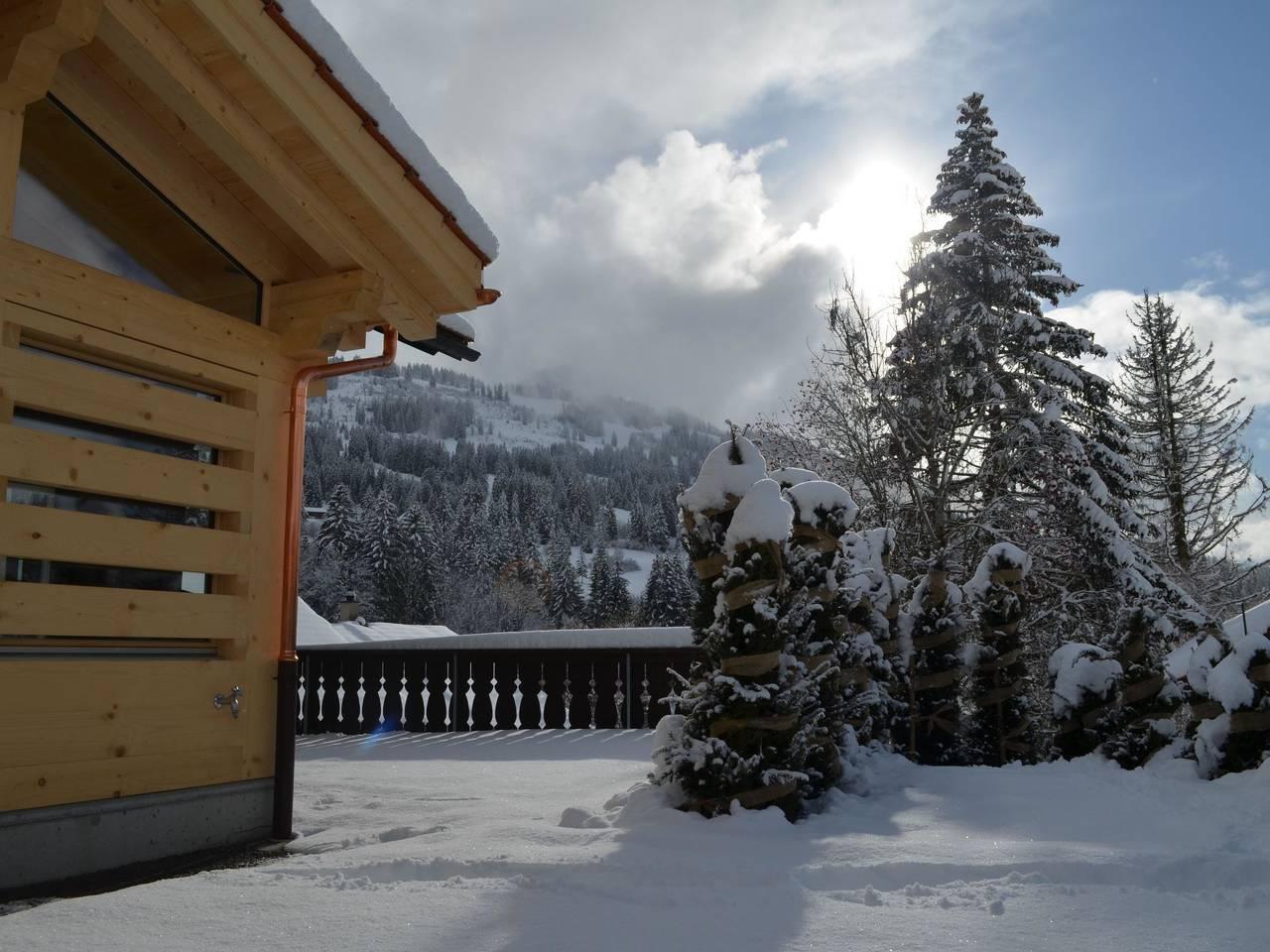 Vakantieappartement in Saanen, Zwitserland voor 8 personen foto 12