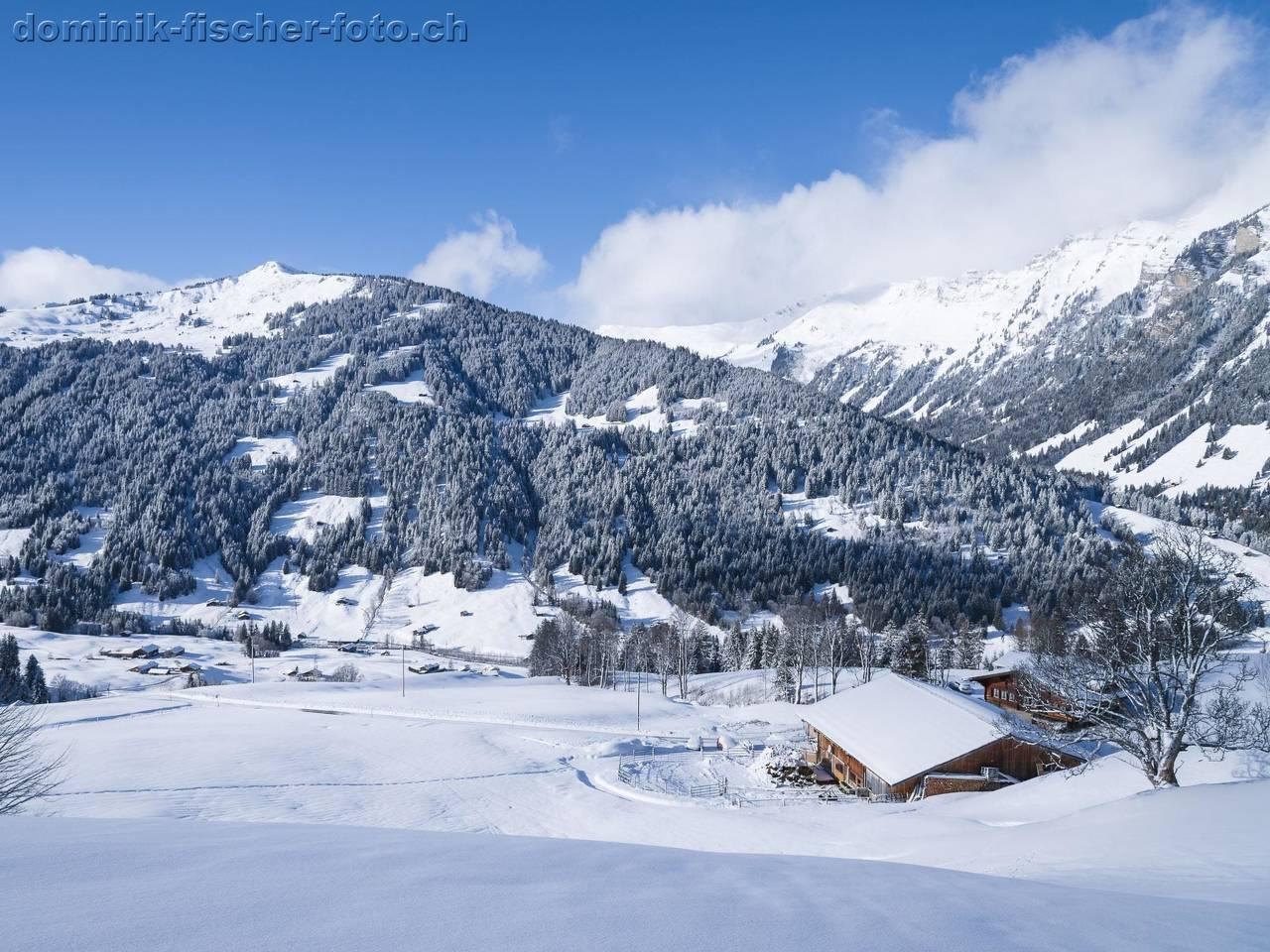 Vakantieappartement in Gsteig, Zwitserland voor 4 personen foto 4