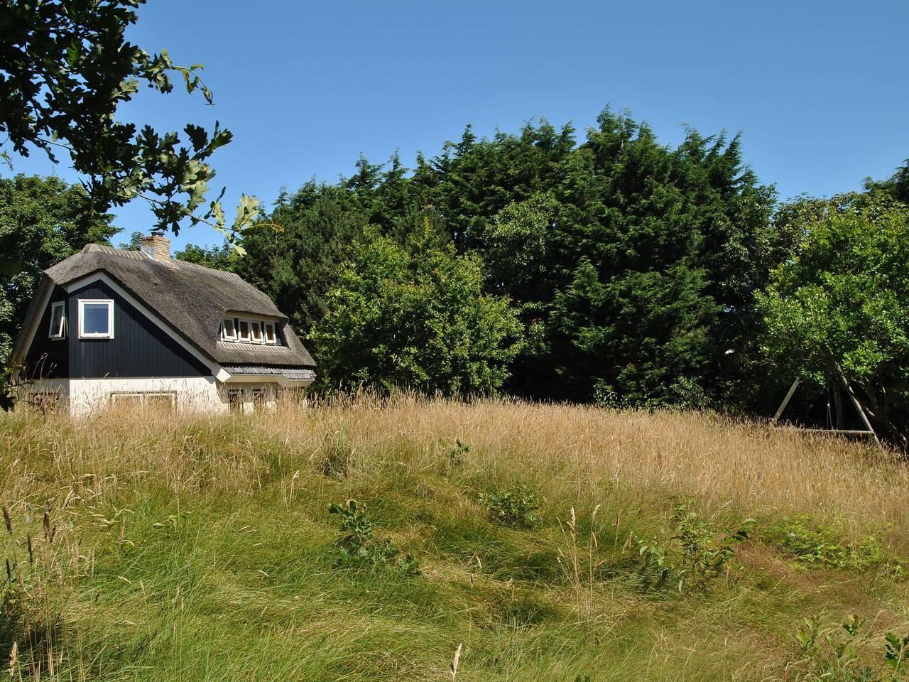 Vakantiehuis in Texel, Nederland voor 8 personen foto 9