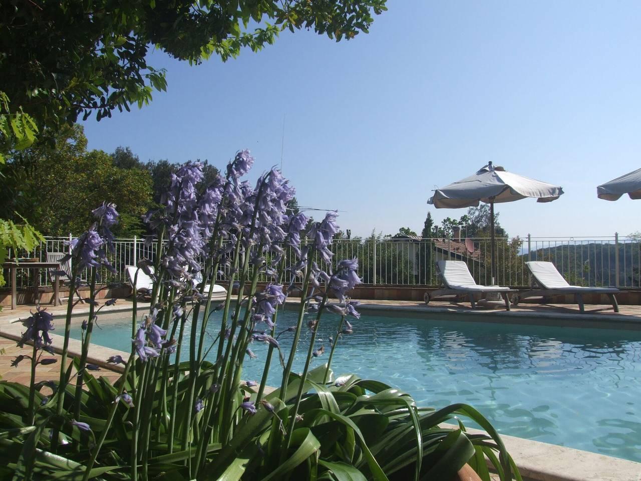 Vakantieappartement in Sassetta, Italië voor 4 personen foto 3
