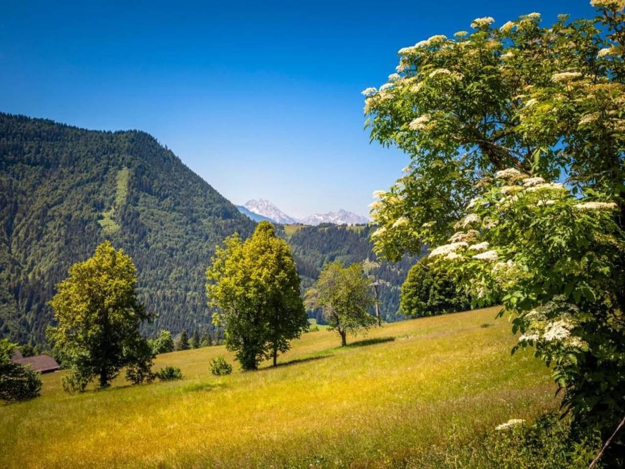 Vakantieappartement met sauna en hond toegestaan in Flachau, Tennengau, Oostenrijk voor 15 personen foto 23
