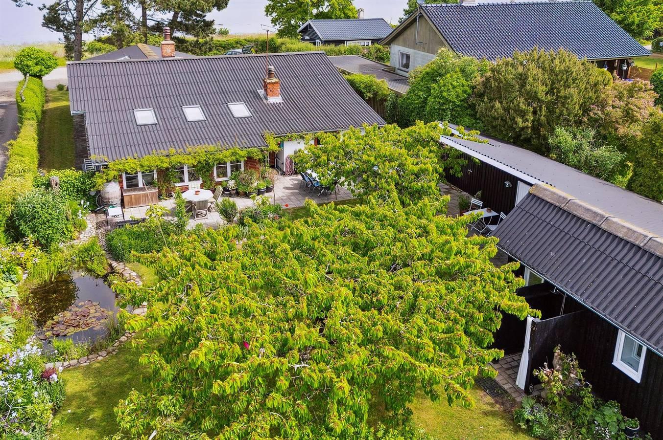 Vakantiehuis in Havnsø foto 11