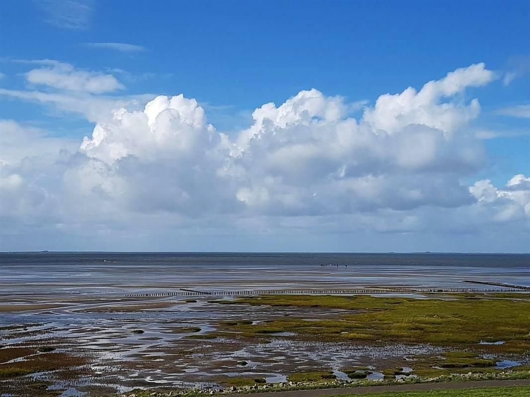 Vakantieappartement in Waddenzee, Duitsland voor 2 personen foto 16