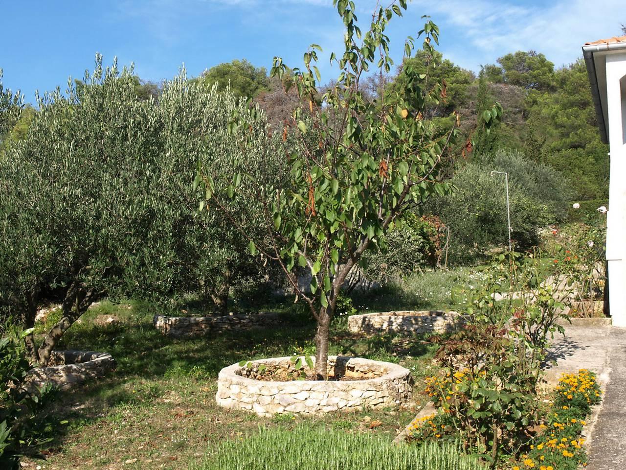 Vakantieappartement in Otok Molat, Kroatië voor 7 personen foto 17