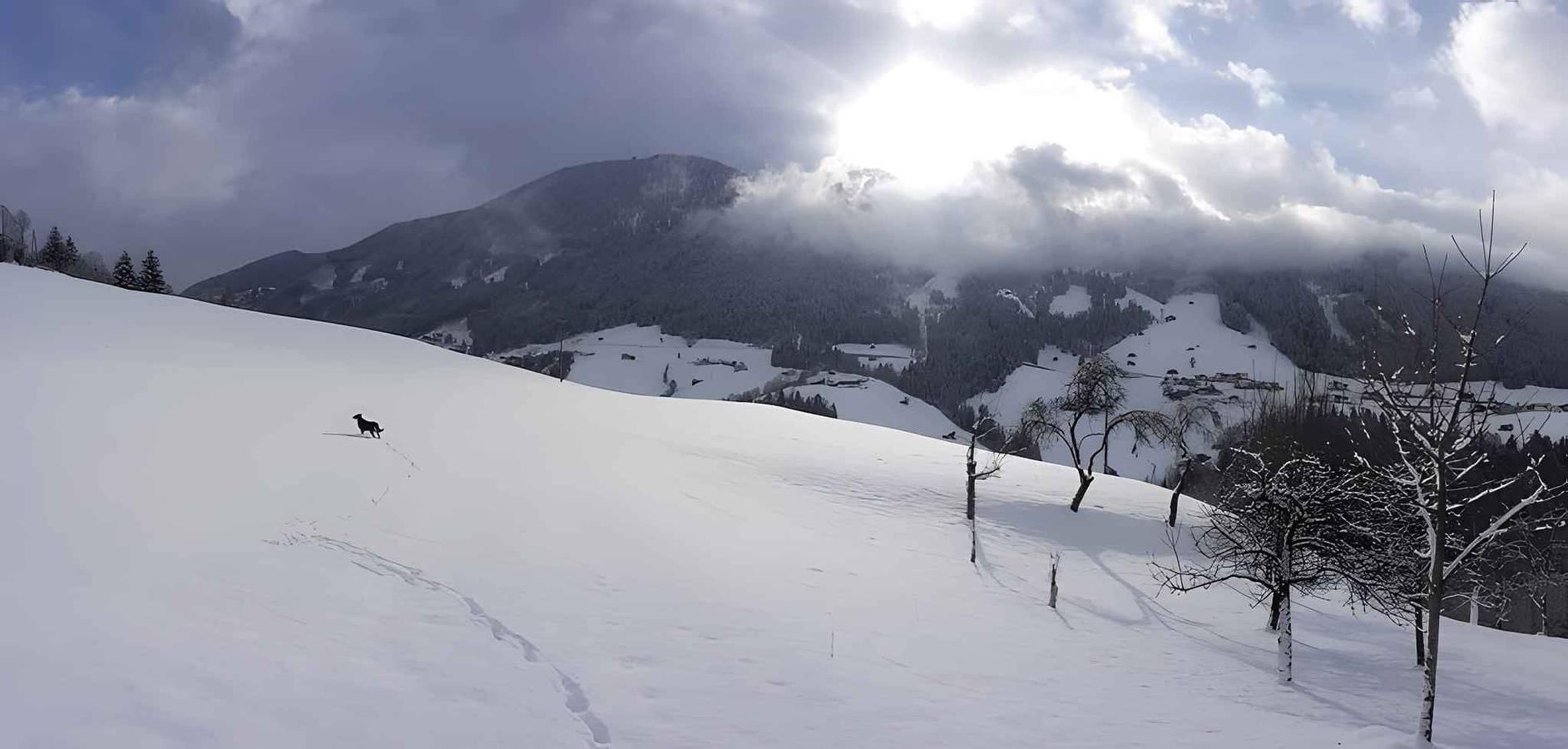 Vakantieappartement in Zillertal, Oostenrijk voor 10 personen foto 7