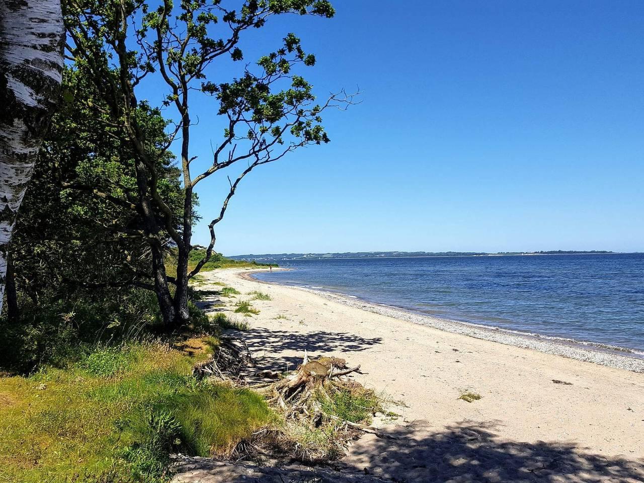 8 persoons vakantie huis in Roslev in Eskov Strandpark, Limfjord in West-Jutland, Denemarken voor 8 personen foto 21