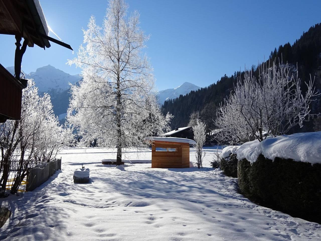 Vakantieappartement in Lenk, Zwitserland voor 5 personen foto 8