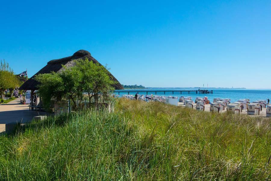 Vakantieappartement in Haffkrug, Duitsland voor 4 personen foto 10